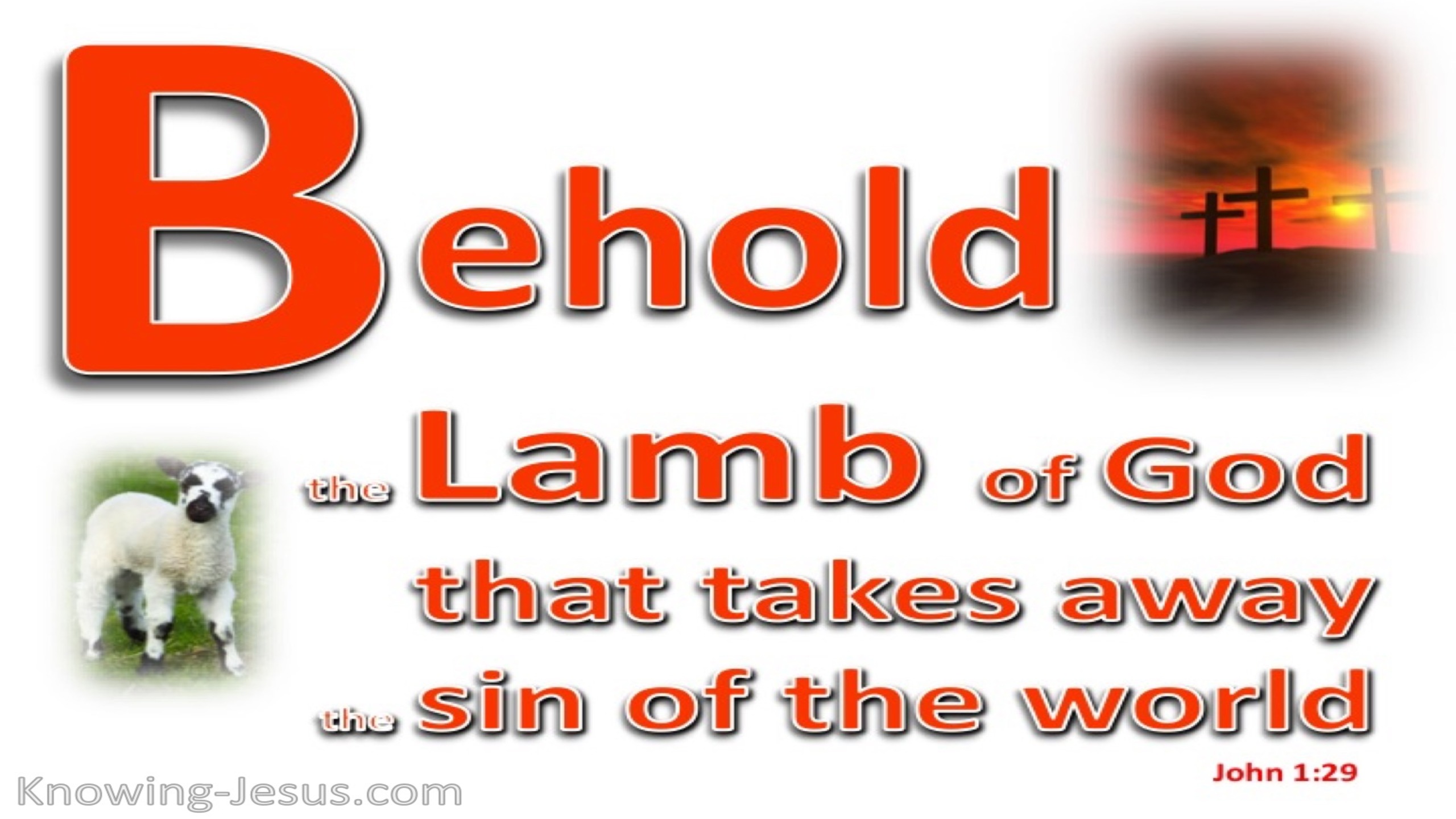 1 John 1:29 The Lamb of God